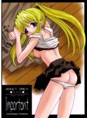 (SC23) [Yukimi Honpo (Asano Yukino)] Important (Fullmetal Alchemist)