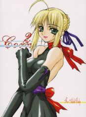 [Power Slide (Uttorikun)] Corn 2 (Fate/stay night)