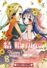 (C74) [CASMANIA (Mozuya Murasaki)] Kekkon Shoya (Dragon Quest V)