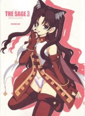 (C69) [R-WORKS (ROS)] THE SAGE 3 (Fate/stay night)