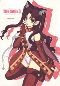 (C69) [R-WORKS (ROS)] THE SAGE 3 (Fate/stay night)