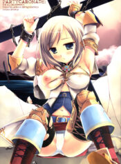 (C70) [D.N.A.Lab. (Miyasu Risa)] PARTYCARONADE (Various)