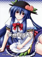 (C74) [Dokomademo Aoi Sora ni Ukabu Niku (Nikusoukyuu)] Mousou Uchouten!! (Touhou Project)
