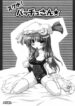 (SC35) [Schwester (Shirau Inasaki) Sukumizu! Pacchu-san (Touhou Project)