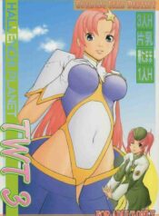 (CR37) [Hallenchi Planet (Tateno Tomoki)] TWT 3 (Gundam SEED DESTINY)