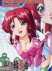 (CR33) [Studio Wallaby (Takana Yu-ki)] SECRET FILE NEXT 6 (Kidou Senshi Gundam SEED)