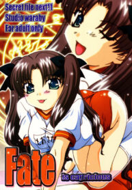 (C67) [Studio Wallaby (Takana Yu-ki)] SECRET FILE NEXT 11 – Fate is capricious (Fate/stay night)