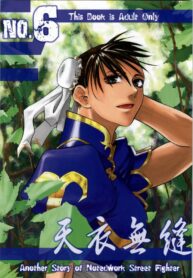 [Kouchaya (Ootsuka Kotora)] Tenimuhou No.6 – Another Story of Notedwork Street Fighter (Street Fighter)