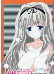 [SONIC WINTER (Tsukishima Takafuyu)] Virginity (ToHeart 2)