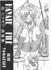 (C77) [RAT TAIL (Irie Yamazaki)] HAYATE FILE Katsura Hinagiku Gazoushuu (Hayate no Gotoku!)