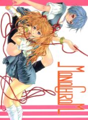 (C63) [Chimatsuriya Honpo (Asanagi Aoi)] Monochrom (Neon Genesis Evangelion)