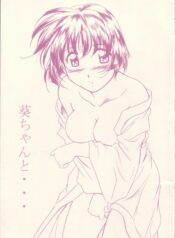 (C63) [STUDIO TRIUMPH (Mutou Keiji)] Aoi-chan to… (Ai Yori Aoshi)