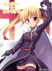 (C75) [SAZ (Onsoku Zekuu, soba)] Sugar Castle (Mahou Shoujo Lyrical Nanoha)
