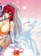 (C75) [CAZA MAYOR (Tsutsumi Akari)] ToyHeart Vol. 6 (ToHeart2)