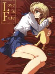 (C68) [Various] Love is Fate (Fate/stay night)