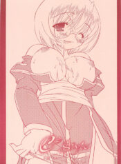 (C68) [Teikiatu de Ikou (Aomi Riru)] C2 style 0.5 (Ragnarok Online)