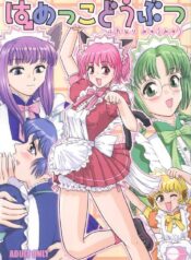 (CR33) [Behind Moon (Q)] Hamekko Doubutsu (Tokyo Mew Mew) [French]