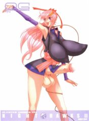 (C69) [HGH (HG Chagawa)] Pleated Gunner #14 – Night Hawks 2 (Gundam SEED DESTINY)