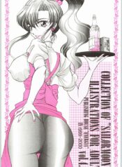 (CR27) [ENERGYA (Russia no Dassouhei)] COLLECTION OF -SAILORMOON- ILLUSTRATIONS FOR ADULT Vol. 4.5 (Bishoujo Senshi Sailor Moon)