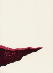 [Devil May Cry] Fragment (VergilxDante)