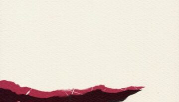 [Devil May Cry] Fragment (VergilxDante)