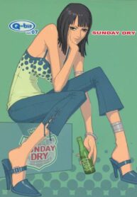 (C67) [Q-bit (Q-10)] Q-bit Vol. 07 – Sunday Dry (One Piece)