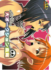 (C75) [Youkai Tamanokoshi (CHIRO)] Dai Auction Kaijou (One Piece) [English] {DGB}