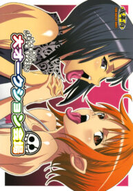 (C75) [Youkai Tamanokoshi (CHIRO)] Dai Auction Kaijou (One Piece) [English] {DGB}