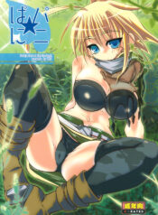 (C73) [S2H (Miyamoto Takashi)] Pani ☆ Pani (Fantasy Earth Zero)