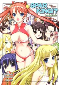 (C71) [Obsidian Order (Shoda Norihiro)] SPARKING! (Mahou Sensei Negima!)