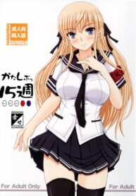 (C73) [Shiawase Kyouwakoku (Shiawase no Katachi)] Katashibu 15-shuu | Katashibu Week 15 [English]