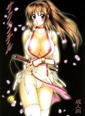 (C70) [Hanamaru Mugen Gym (Hyoujun Mai)] Sakura Chiru (Dead or Alive)