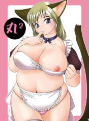 (C64) [Aa, Warera Katou Hayabusa Sentoutai (Katou)] MaruMaru