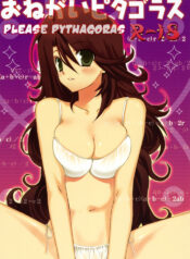(SC38) [Takanaedoko, Kokikko (Takanae Kyourin, Sesena Yau)] Onegai Pythagoras | Please Pythagoras (Gundam 00) [English] [Asobi-Nin]