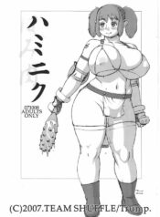 (SC37) [Team Shuffle (Trump)] Haminiku
