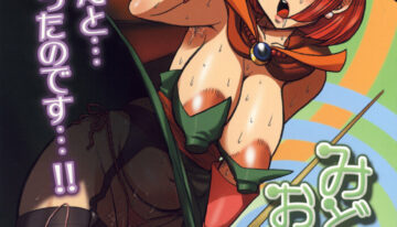 (C73) [Esecool (BOSS Chin)] Midori no Oba-san (Dragon Quest III)