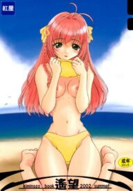 (C62) [Beniya (Kurenai Yuuki)] Haruka Nozo -Kiminozo Book 2002 Summer- (Kimi ga Nozomu Eien)