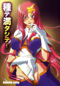 (C69) [Chaotic Arts (Mita Kurumi)] Tane de Mitashite… (Gundam Seed Destiny)