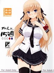 (C73) [Shiawase Kyouwakoku (Shiawase no Katachi)] Katashibu 15-shuu | Katashibu Week 15 [English]