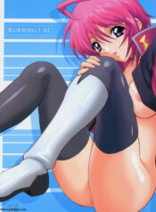 (C69) [GUST (Harukaze Soyogu)] Burning!! 2 (Mobile Suit Gundam SEED DESTINY) [English] [SaHa]
