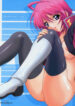 (C69) [GUST (Harukaze Soyogu)] Burning!! 2 (Mobile Suit Gundam SEED DESTINY) [English] [SaHa]