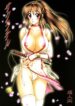 (C70) [Hanamaru Mugen Gym (Hyoujun Mai)] Sakura Chiru (Dead or Alive)