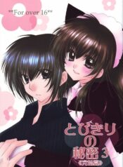 (C68) [Sakurakan (Seriou Sakura)] Tobikiri no Himitsu 3  (Inuyasha)