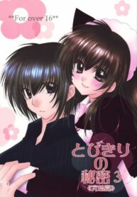 (C68) [Sakurakan (Seriou Sakura)] Tobikiri no Himitsu 3  (Inuyasha)
