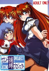 (CR36) [Thirty Saver Street 2D Shooting (Maki Hideto, Sawara Kazumitsu)] Second Hobaku Project (Neon Genesis Evangelion) [English]