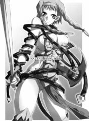 (C70) [Youkai Tamanokoshi (Chiro)] QUEEN'S BLADE BOOK (Queen's Blade)