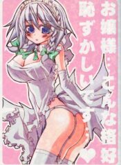 (CT9) [Black Angel (Nejiki Rio, Nekovi)] Ojou-sama… Konna Kakkou Hazukashii desu… (Touhou Project)