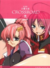 (C68) [Kouchaya (Ootsuka Kotora)] crossroad Hikari (Gundam SEED DESTINY)