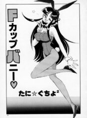 D-Cup Angel (BE)
