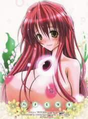 (CSP4) [Garyuh-Chitai (TANA)] Hanamiduki (Yumeria)